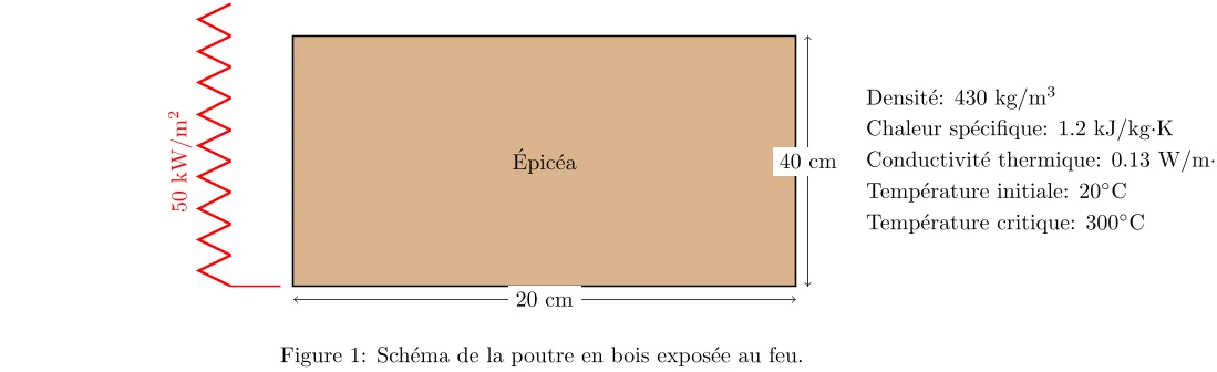 Durabilité des Poutres en Bois sous l'Effet du Feu