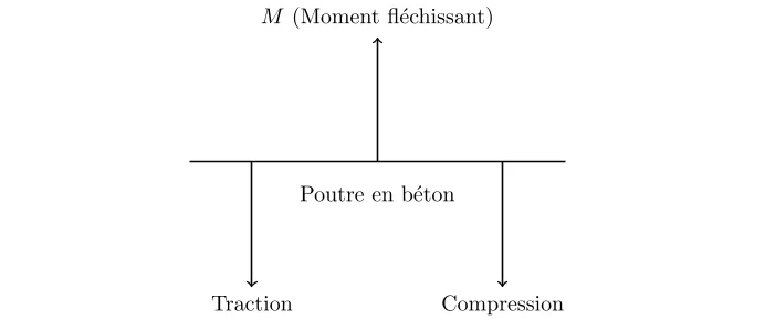 comportement en flexion