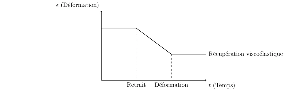 comportement viscoélastique