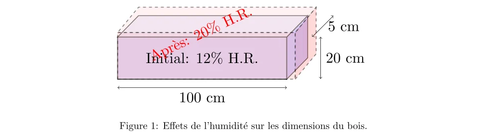 effets de l'humidité sur le bois