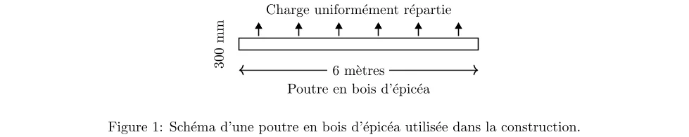 évaluation de la Résistance au Feu d'une Poutre en Bois