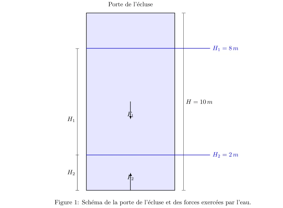 Étude de la Pression Hydrostatique